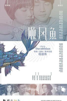 国产日韩欧美在线观看不卡